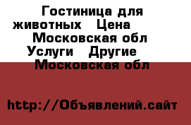 Гостиница для животных › Цена ­ 500 - Московская обл. Услуги » Другие   . Московская обл.